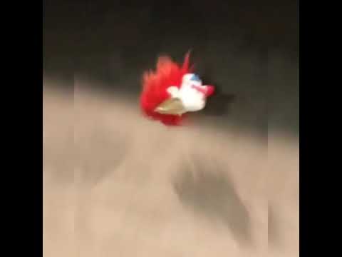 @ankhalmc vs @2c.pr - Round1 final #DraftFMS2019 (torneo)