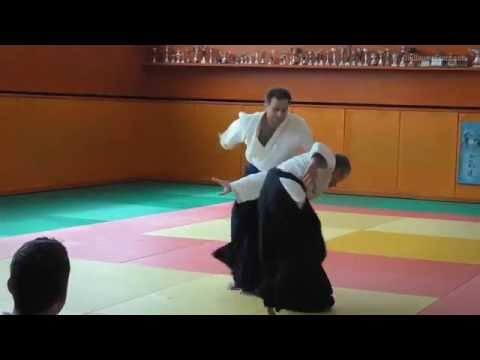 Guillaume Erard 4e Dan Aikikai - Stage d'Aikido à Bayonne (juin 2016)