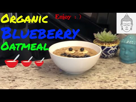 Amazing Blueberry Oatmeal Recipe! | Totally Organic | Fresh | Delicious! 🥣 🥣 🥣