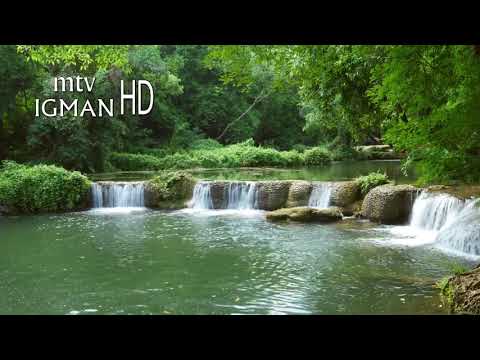 RAMAZANSKA DOVA 27. DAN - MTV IGMAN