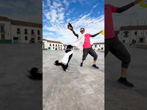 Perro bailando colombiano #coqueta #diciembre #baile #mascotas #firulais #musica