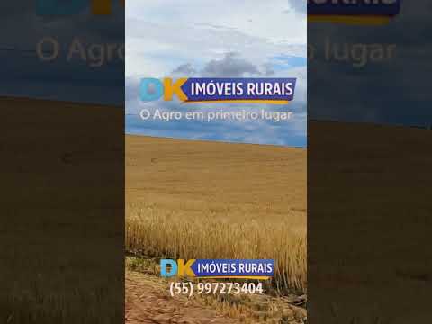 🚜 ALTA PERFORMANCE AGRÍCOLA ENTRE ROSÁRIO DO SUL E CACEQUI! 🌾
