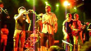 Carpa Juanita El gegant del pi