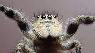 Acid Bath - Dr. Seuss is Dead