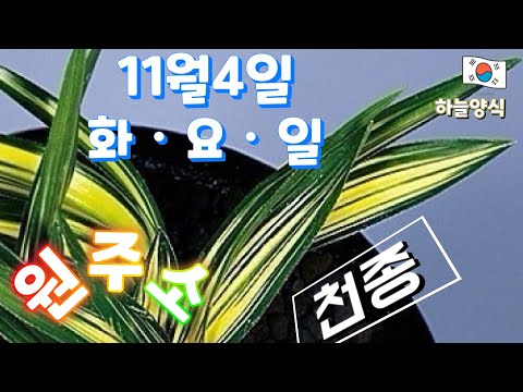 유튜브 썸네일