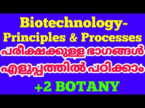 Plus two botany biotechnology principles in Malayalam | +2 botany biotechnology | biotechnology prin