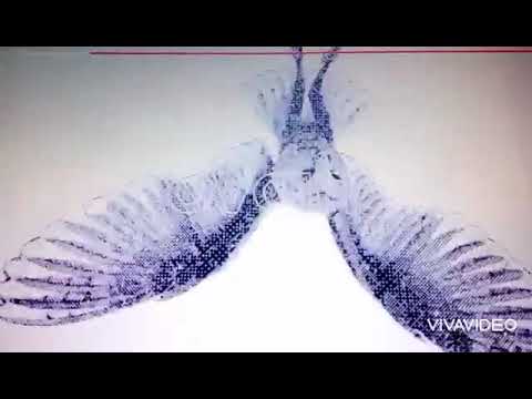 Ñengo Flow ❌ El Micha - Cuidao ( Audio Oficial )