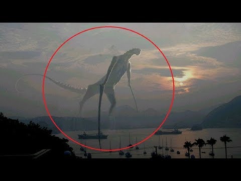 5 Mysterious Creatures Caught on Camera Video