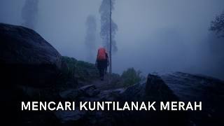 Download lagu The Biggest Scaredy-Cat Ghost Challenger (Cikuray #1) mp3