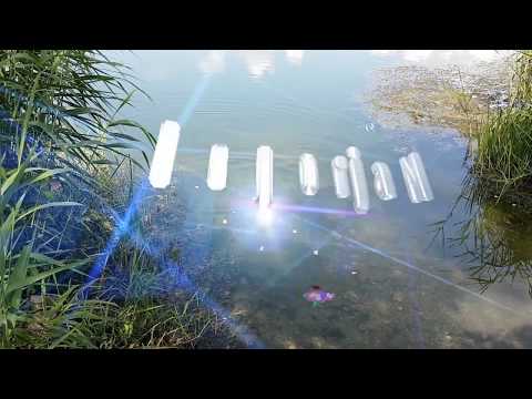 🚩2019-06-17🐬Fotofischen.Donau Deggendorf Bayern.(TVV).#Deggendorf.#NagorjaN