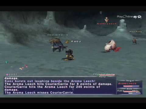 FFXI NM Saga #100: Aroma Leech vs BST solo [Full Battle]