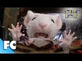Stuart Little Stuart Gets Stuck In The Washing Machine Full Comedy Adventure Movie Clip FC