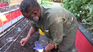 Hebrew Israelites - Feed Yourselves! (Lesson #4)