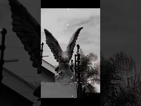 Ruff Kid ft. Shenky - Mwebaleya (King Dandy Crazy Dedication) HD Visualizer by Dir Maydox