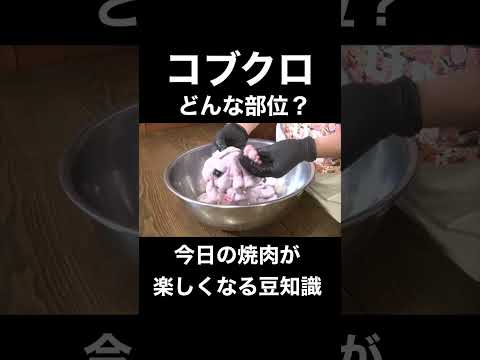 ¿Qué es el Kobukuro? ¡El restaurante Yakiniku te enseñará! #bermudas