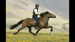 preview picture of video 'Amazing horse riding in Kashmir/horse riding by a kashmiri boy...'