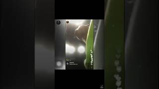 G Herbo - Just A Wrap Freestyle (Kodak Black Remix)