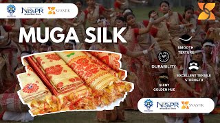 Muga Silk