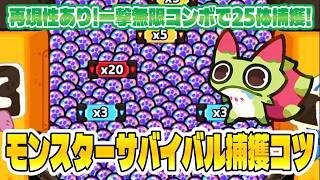 【モンサバ】タタ捕獲ゲーム完全攻略方法実践解説！再現性あり一撃無限コンボで25体捕獲してみた！【モンスターサバイバル】