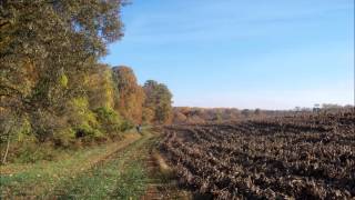 Ella Fitzgerald - Sentimental Journey & slideshow