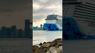 Norwegian Bliss 🛳️⚓️ #like #share #comment #subscribe #cruiseship #cruise #vacation #shorts #short