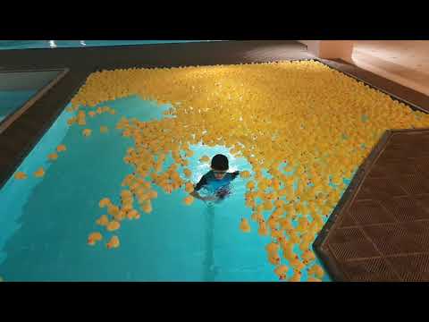 Swimming in rubber ducks