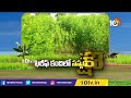ఖరీఫ్ కందిలో సస్యరక్షణ | Toor Dal Farming In Kharif Season | Matti Manishi | 10TV News - Video