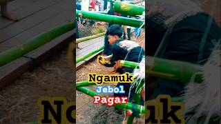 Download lagu Ngamuk Sampek pagarnya jebol #bantengan #shortsviral #jaranan #semuaorang #viralvideo #funny #fyp mp3
