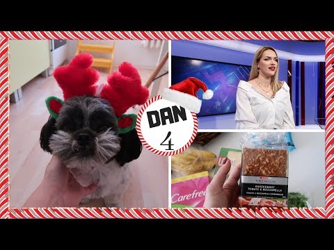 OŠIŠANI BUDA I GOSTOVANJE NA TV 🐶 | VLOGMAS DAN 4🎅🏻