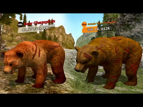 The Wolf - Bear Champions In Featured Green Hills 🏆