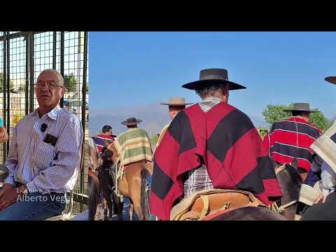 Virgen de los Desamparados - La Calera - Región de Valparaíso.