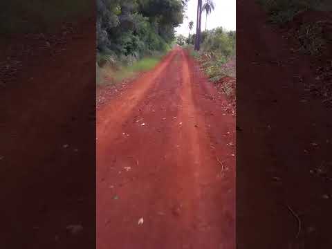Recorrida de 26 kilómetros en Bici por la Colonia Polana! (MISIONES ARGENTINA)