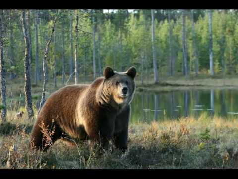 Scherbachov: Symphony #5 (1940-50) - I Lento assai