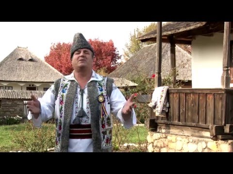 „Necăjită turturică” - MITRITA CRETU