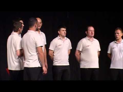 Klapa Slavonica - Oj, curice