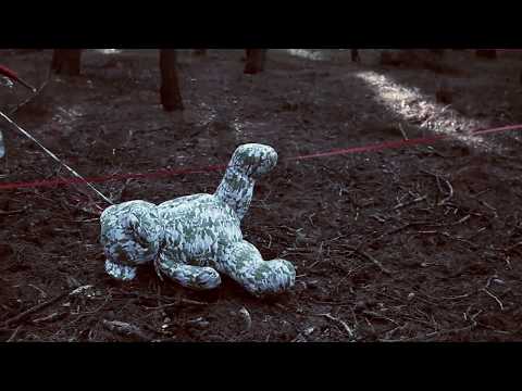 MASTORI MOTWARY STUDIO THE FOREST CAN HIDE US (2013) Directed by MARA DESIPRIS