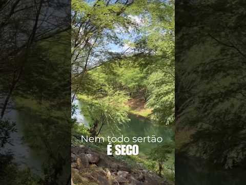 Nem todo sertão é seco.Rio Verde — Jati/CE 🌊🌵 #Sertão #Jati #Ceará #RioVerde #nordeste