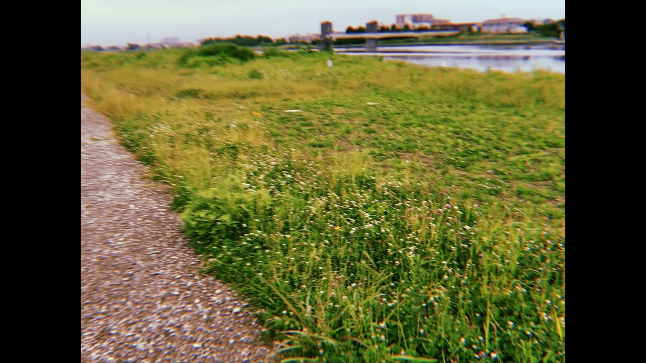 【弾き語り】Swallowtail Butterfly 〜あいのうた〜 / YEN TOWN BAND (cover)