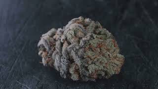 Oreos Marijuana strain