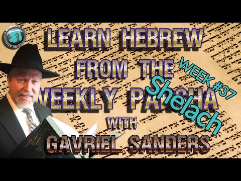 Learn Hebrew Using the Weekly Parsha: Week 37 'Shelach' - PLUS Commentary - Gavriel Sanders - 1807