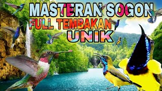 Download lagu MASTERAN SOGON FULL TEMBAKAN PANJANG mp3 Download lagu MASTERAN SOGON FULL TEMBAKAN PANJANG mp3