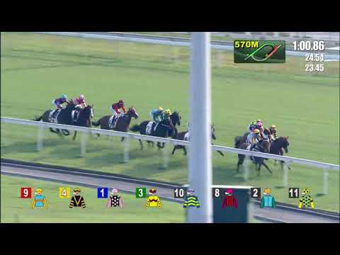 [Oriental Watch Sha Tin Trophy 2019] Rise High lands the Oriental Watch Sha Tin Trophy