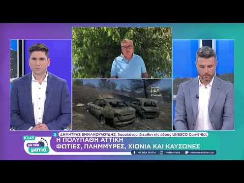Δημήτρης Εμμανουλούδης για τις φυσικές καταστροφές που πλήττουν την Αττική | 23/07/2022 | ΕΡΤ