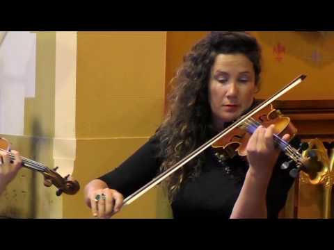 Cheek to Cheek (Berlin) by Amicus Strings