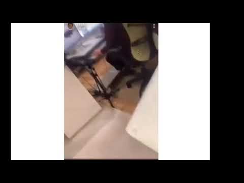 NitoNB x Loski (156 x Harlem Spartans) In The Studio Recording A Banger