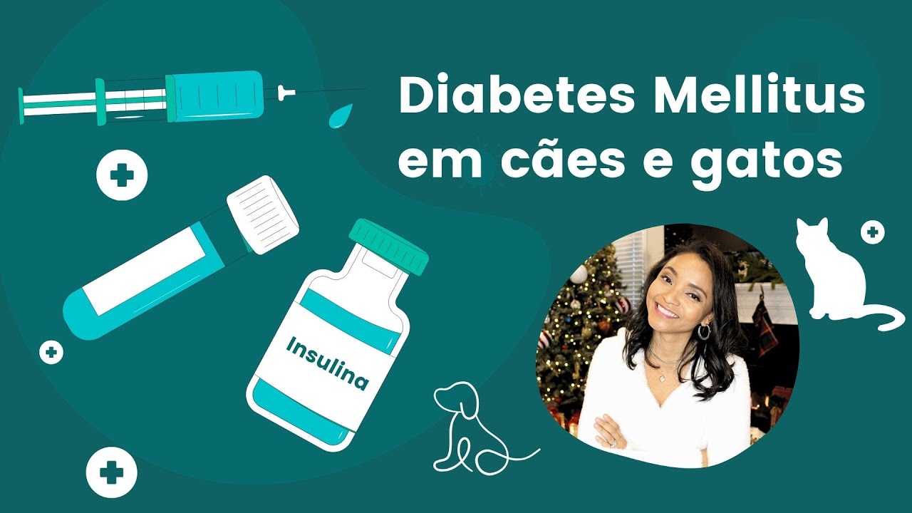 #DIABETES #MELLITUS EM CÃES E GATOS