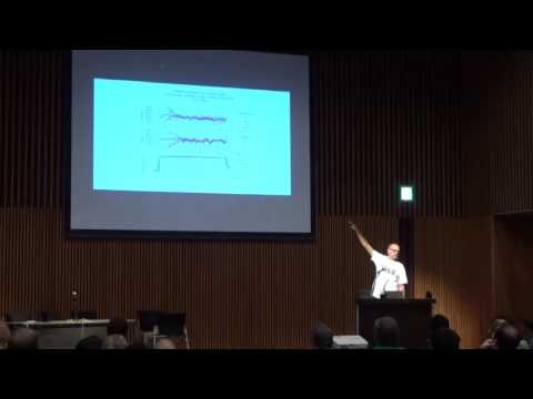 Netdev 1.2: Virtual networking East/West Performance - Do offloads really matter ?