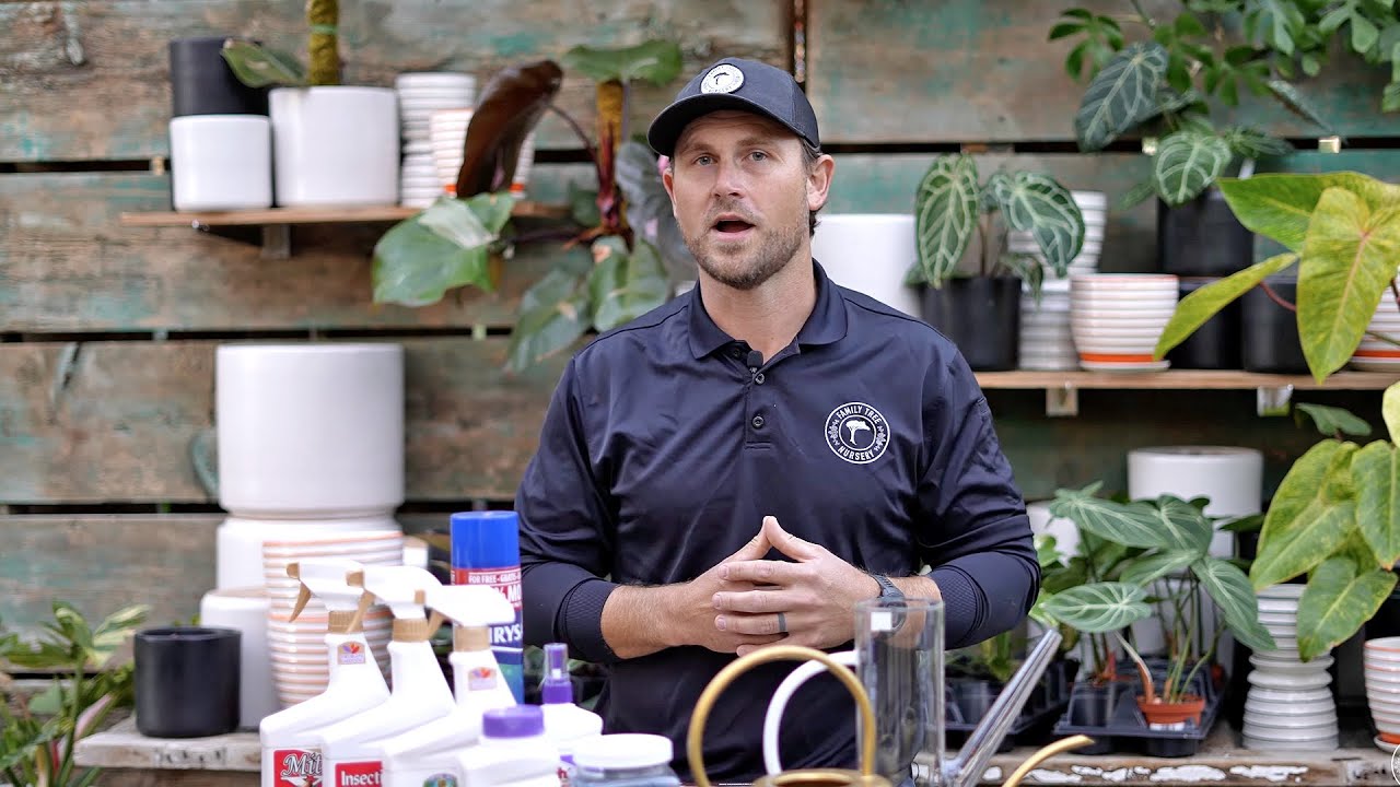 Overwintering Tropical Plants