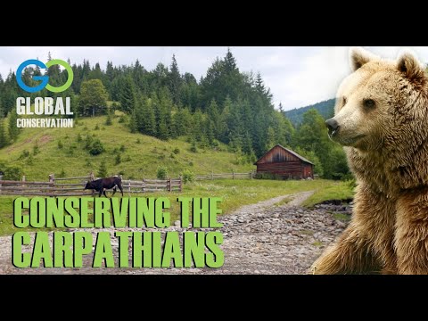 Conserving the Carpathians