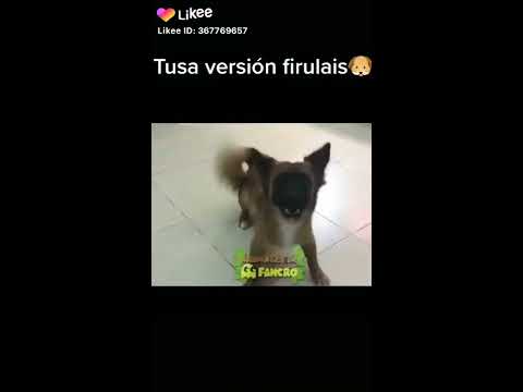 4 de febrero de 2020